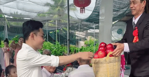 Dàn tráp ăn hỏi độc lạ từ vải, nhãn ở Bến Tre khiến khách bỏ tiệc chạy ra xem