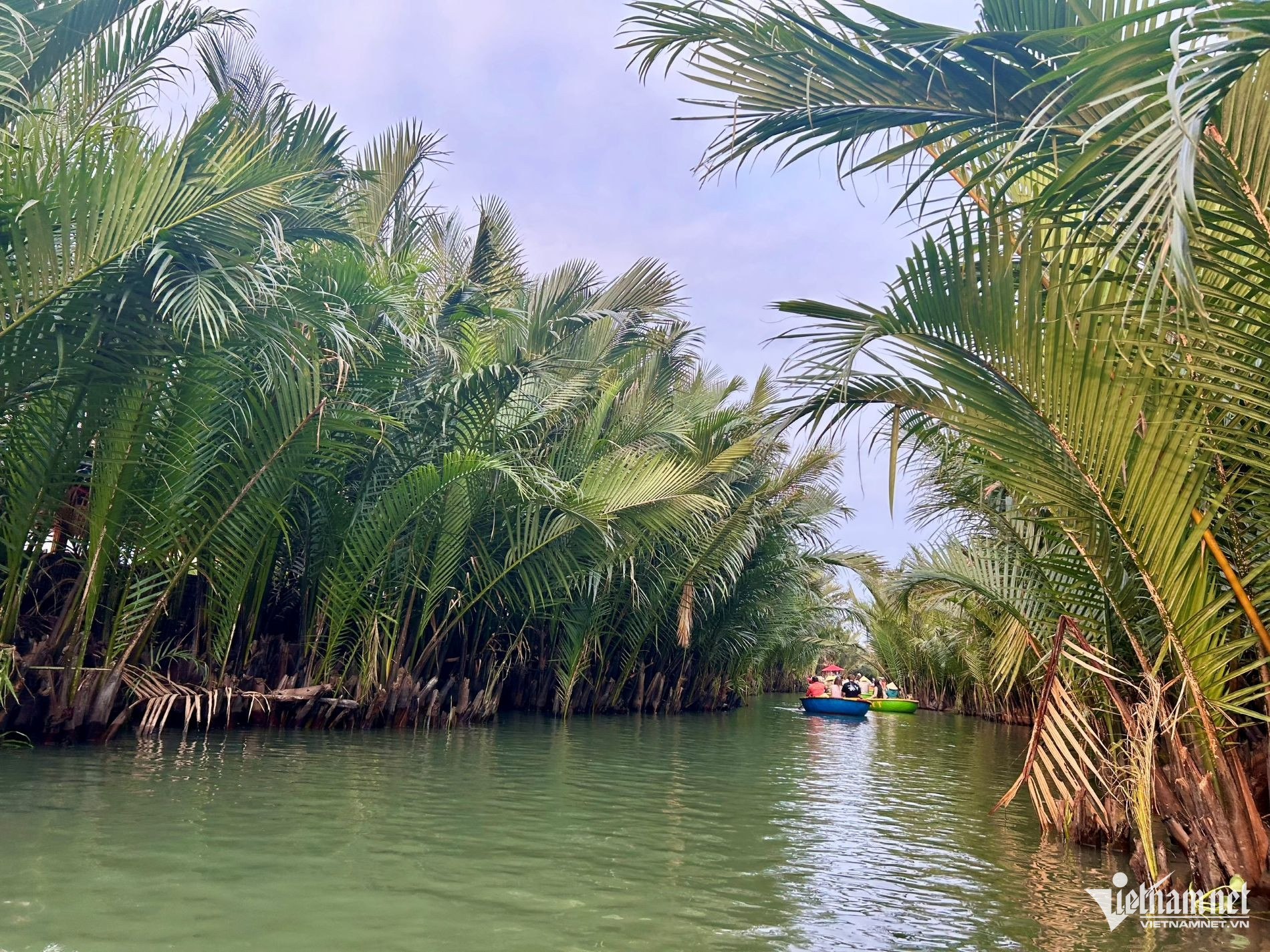 W-113 đa dạng sinh học.jpg