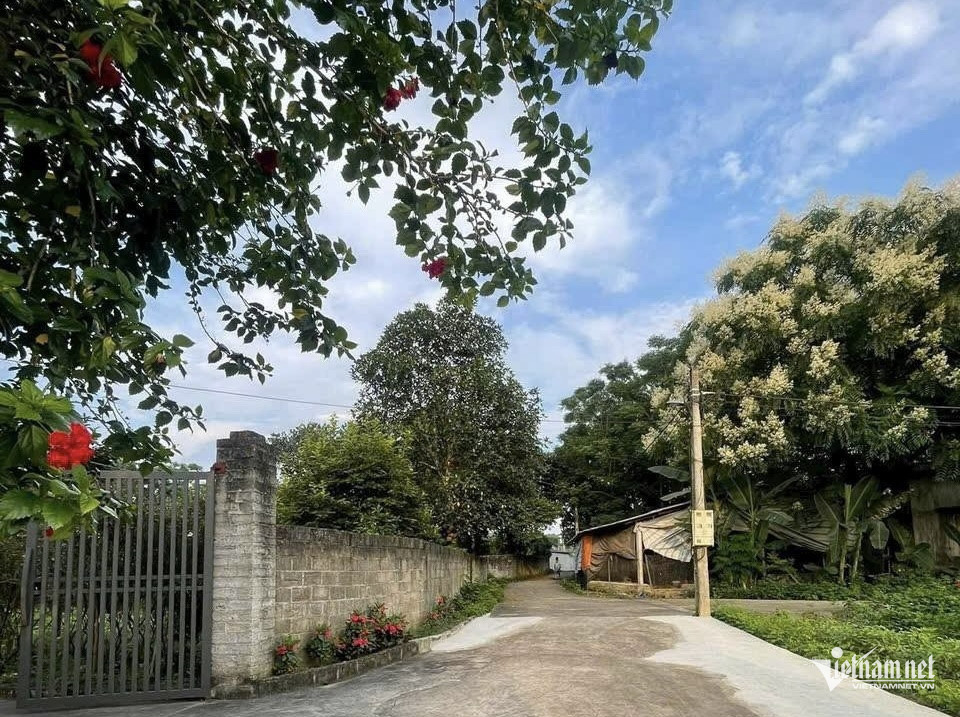 W-133.Xa Co Lung.jpg