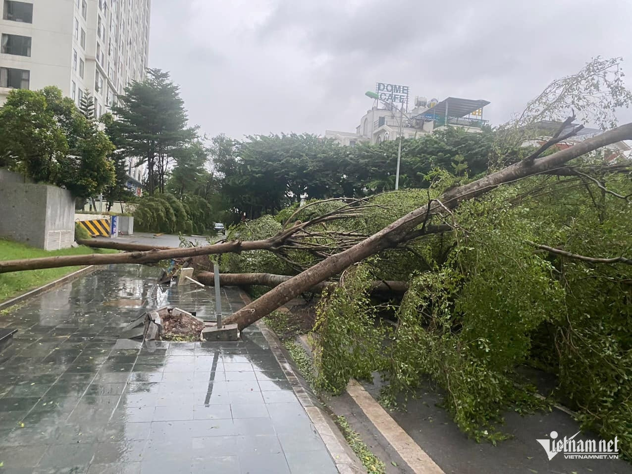 W-29 bảo hiểm thiên tai.jpg