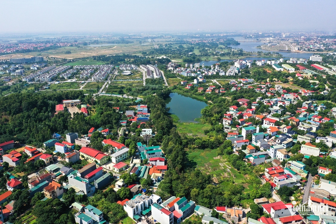 W-dau gia dat Vinh Phuc.JPG.jpg