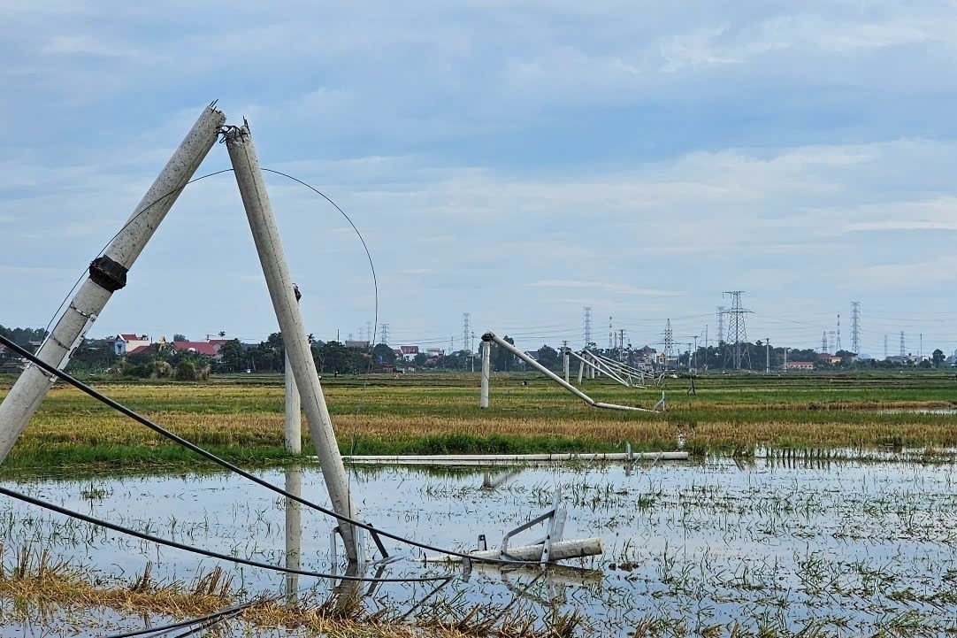 Loạt cột điện gãy đôi sau một cơn giông ở Thanh Hóa