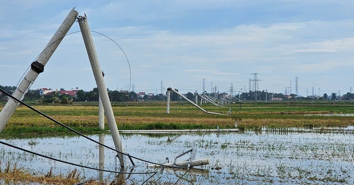 Loạt cột điện gãy đôi sau một cơn giông ở Thanh Hóa