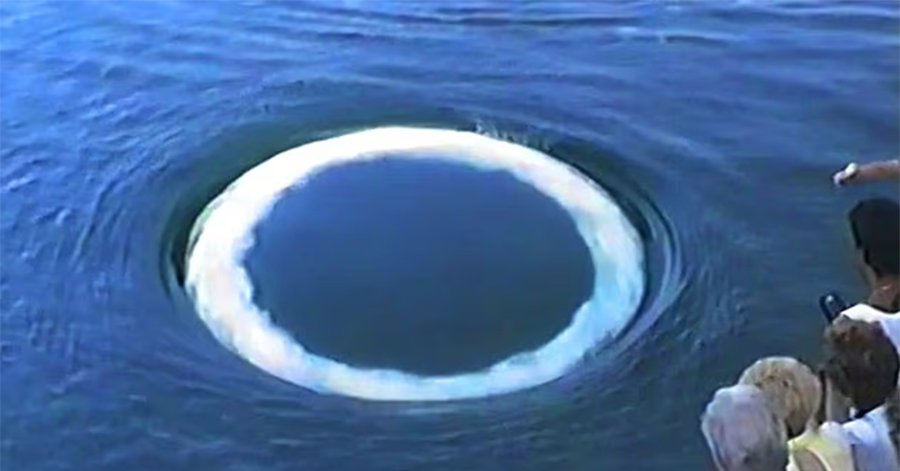 Phát hiện "giao tiếp" kỳ lạ dưới đại dương, hé lộ bí ẩn trí tuệ ngoài Trái Đất