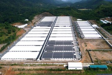 Thanh Hóa chỉ đạo xử lý vụ trang trại lợn phát tán mùi hôi thối