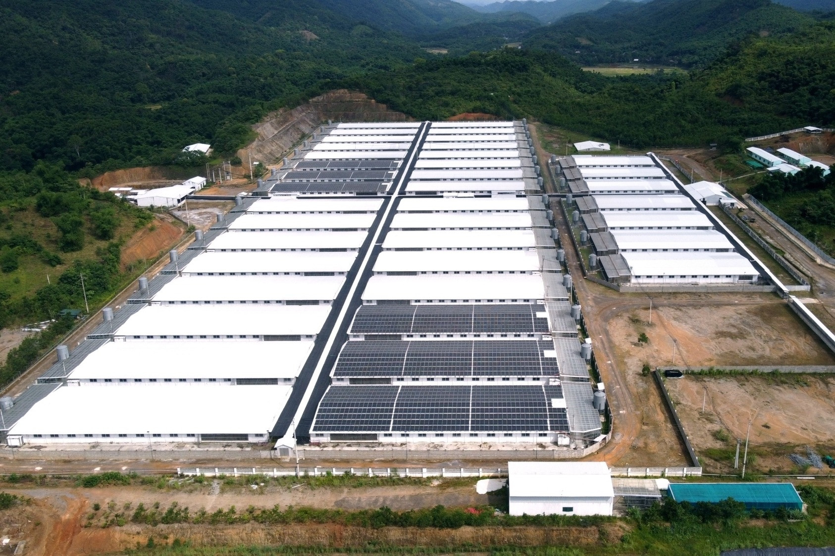 Thanh Hóa chỉ đạo xử lý vụ trang trại lợn phát tán mùi hôi thối