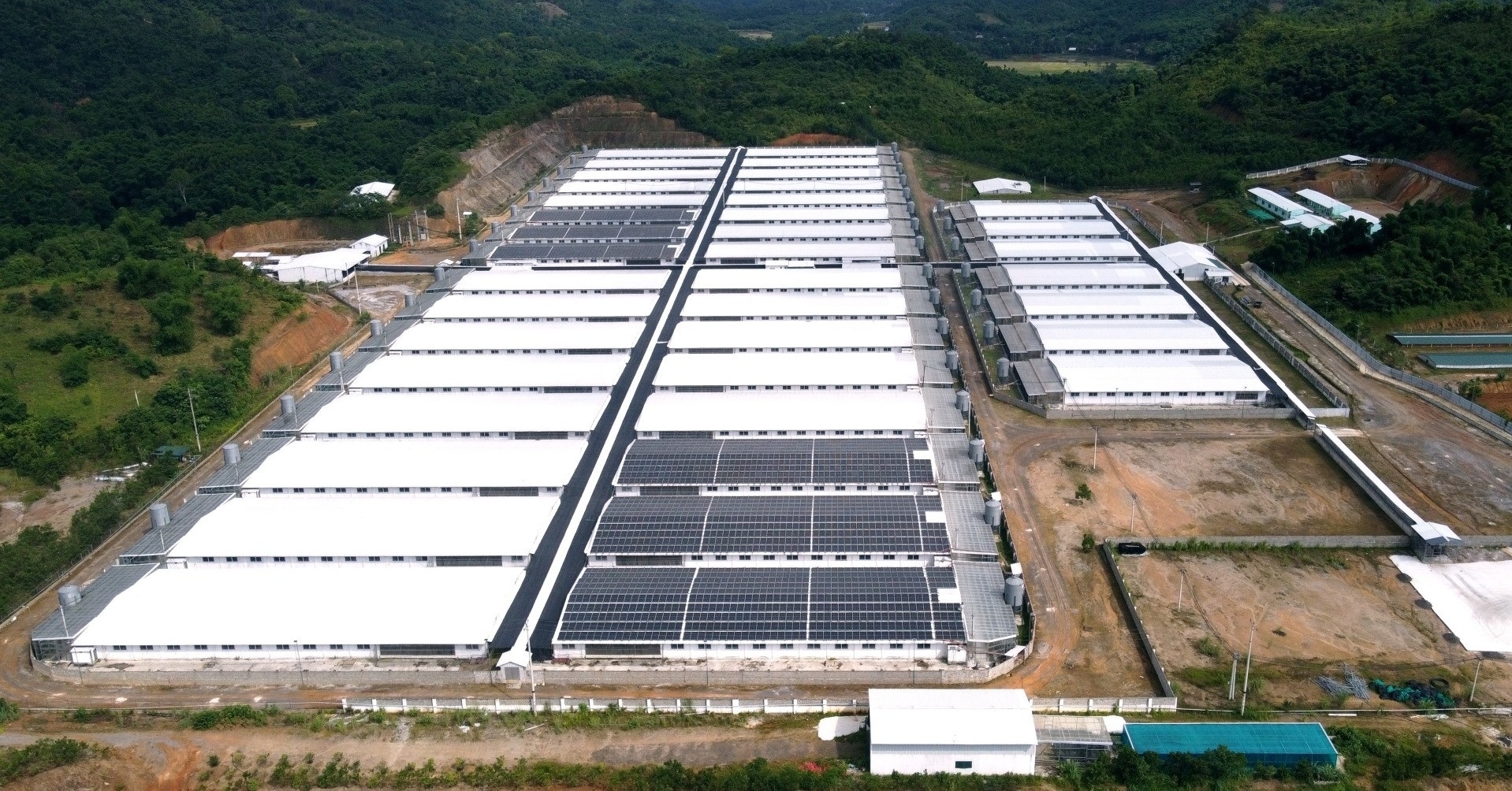 Thanh Hóa chỉ đạo xử lý vụ trang trại lợn phát tán mùi hôi thối