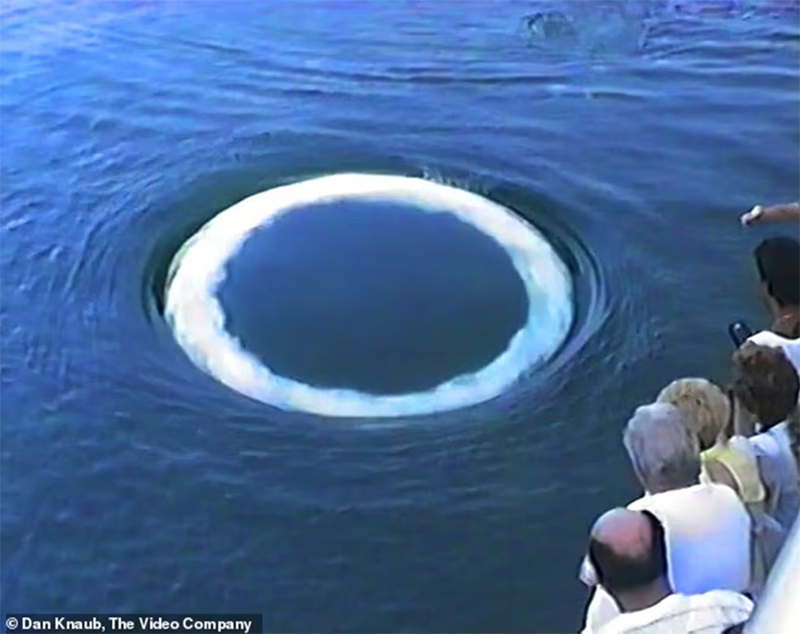 tri tue ngoai hanh tinh 2.png