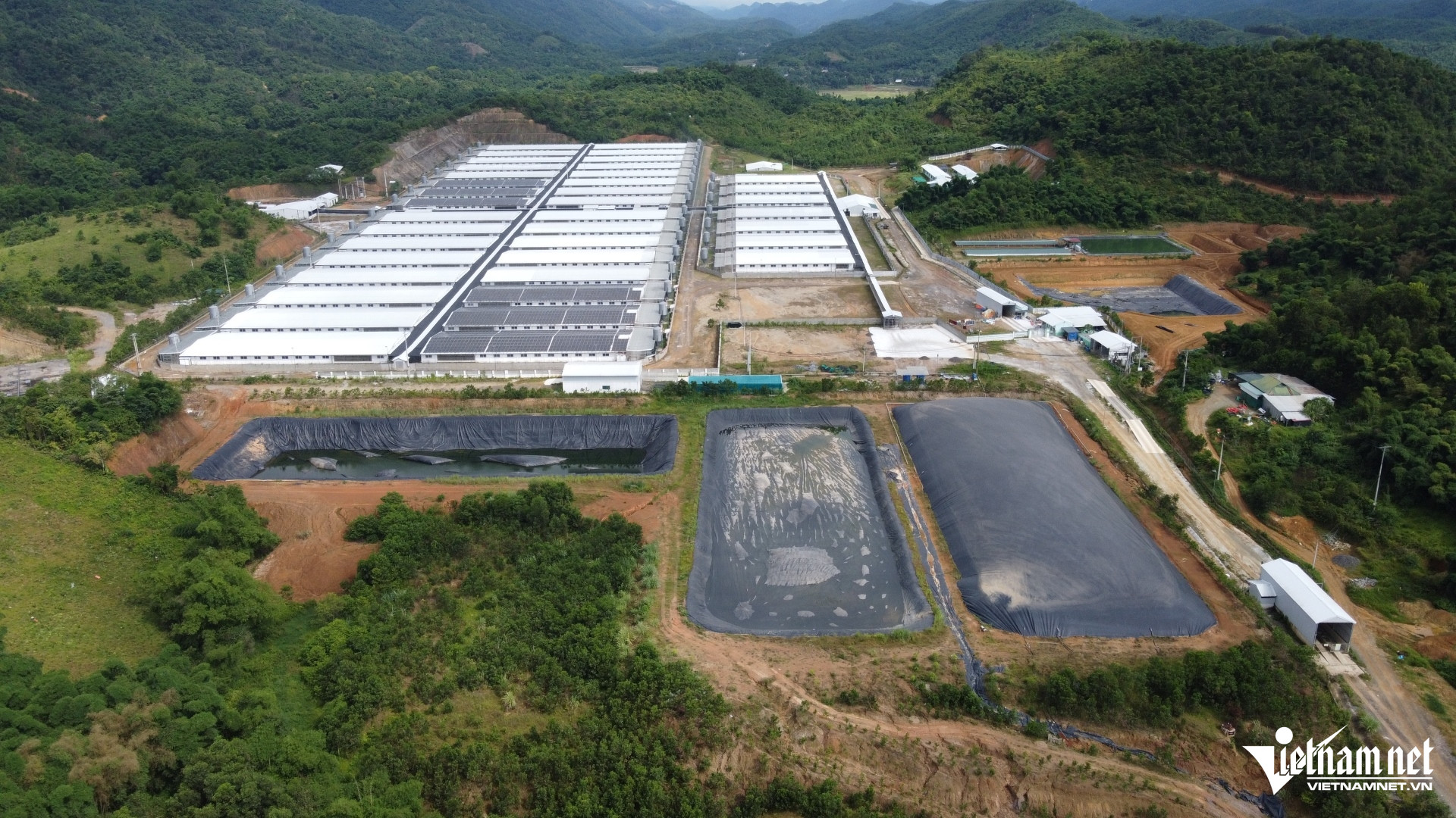 W-a1Trang trại lợn ở Thanh Hóa tiếp .JPG.jpg