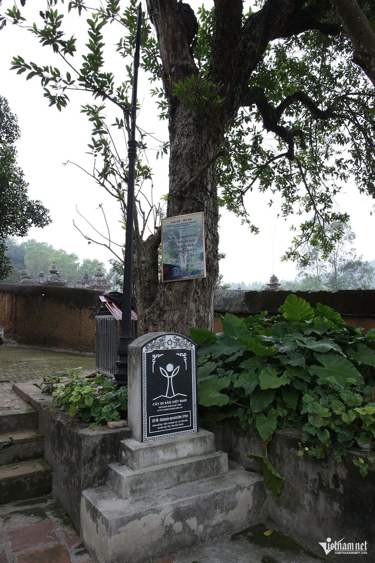 W-Chùa Bổ Đà 14.jpg