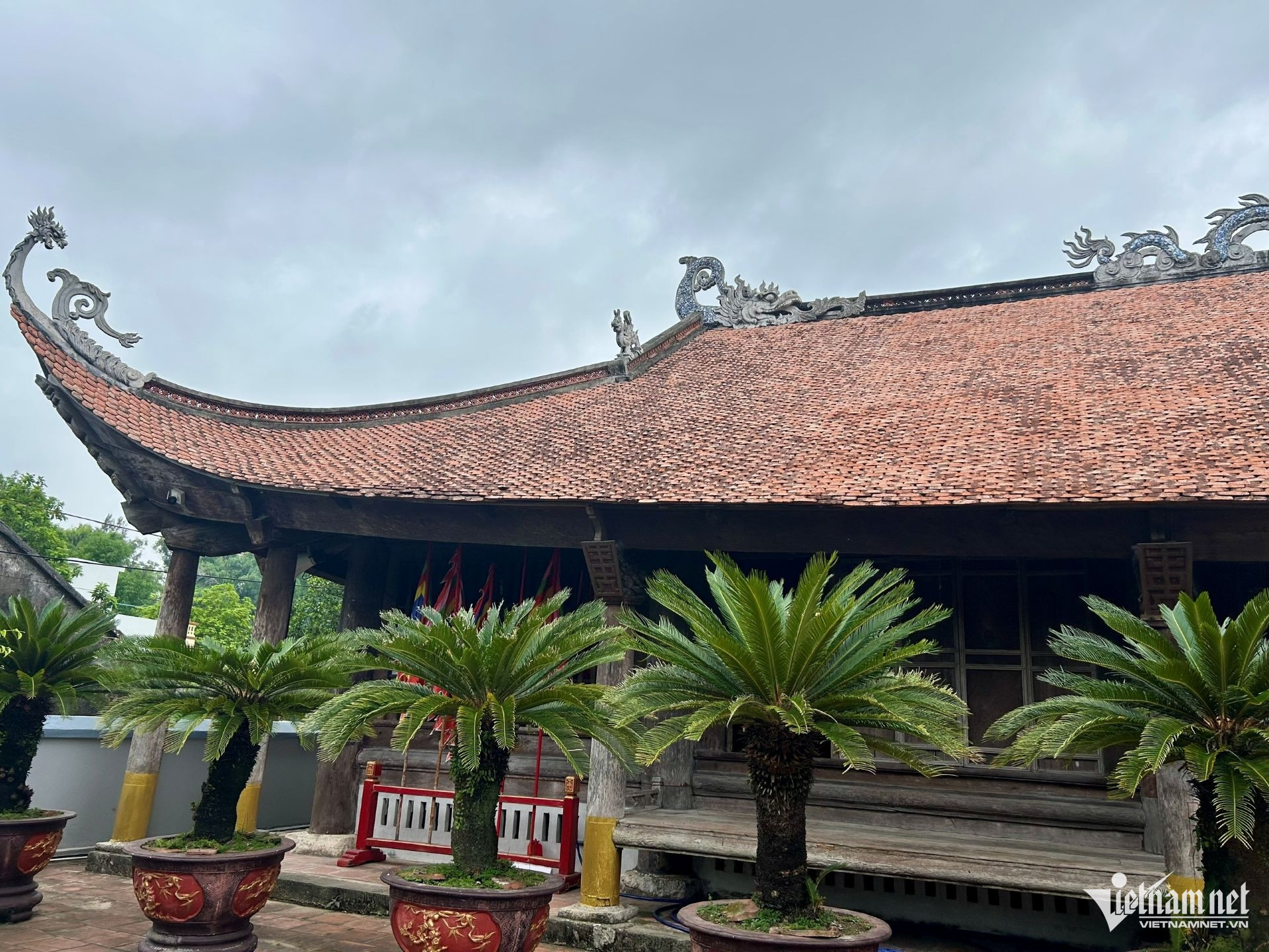 W-Trà cổ 2.jpg