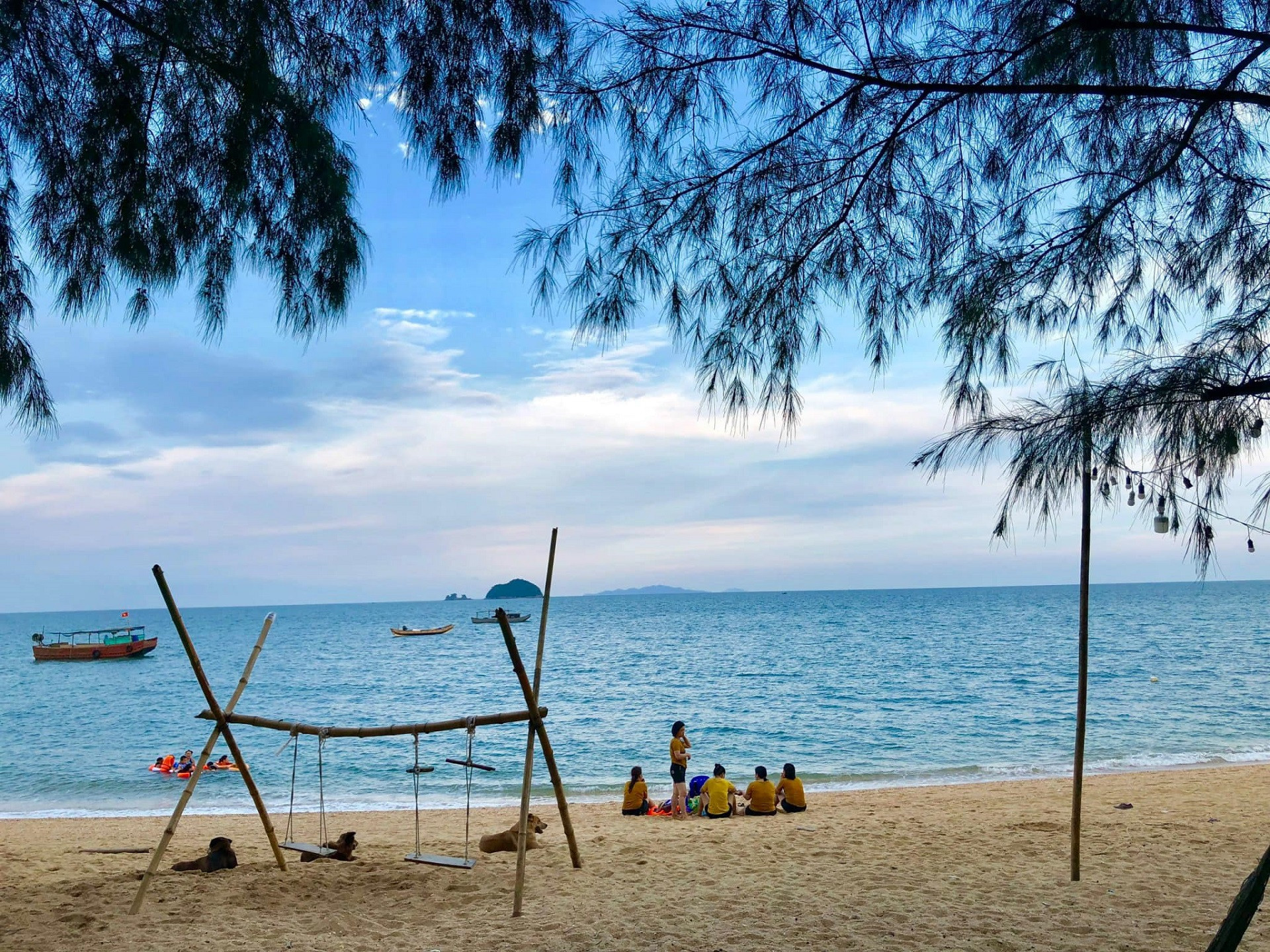 đảo cái chiên
