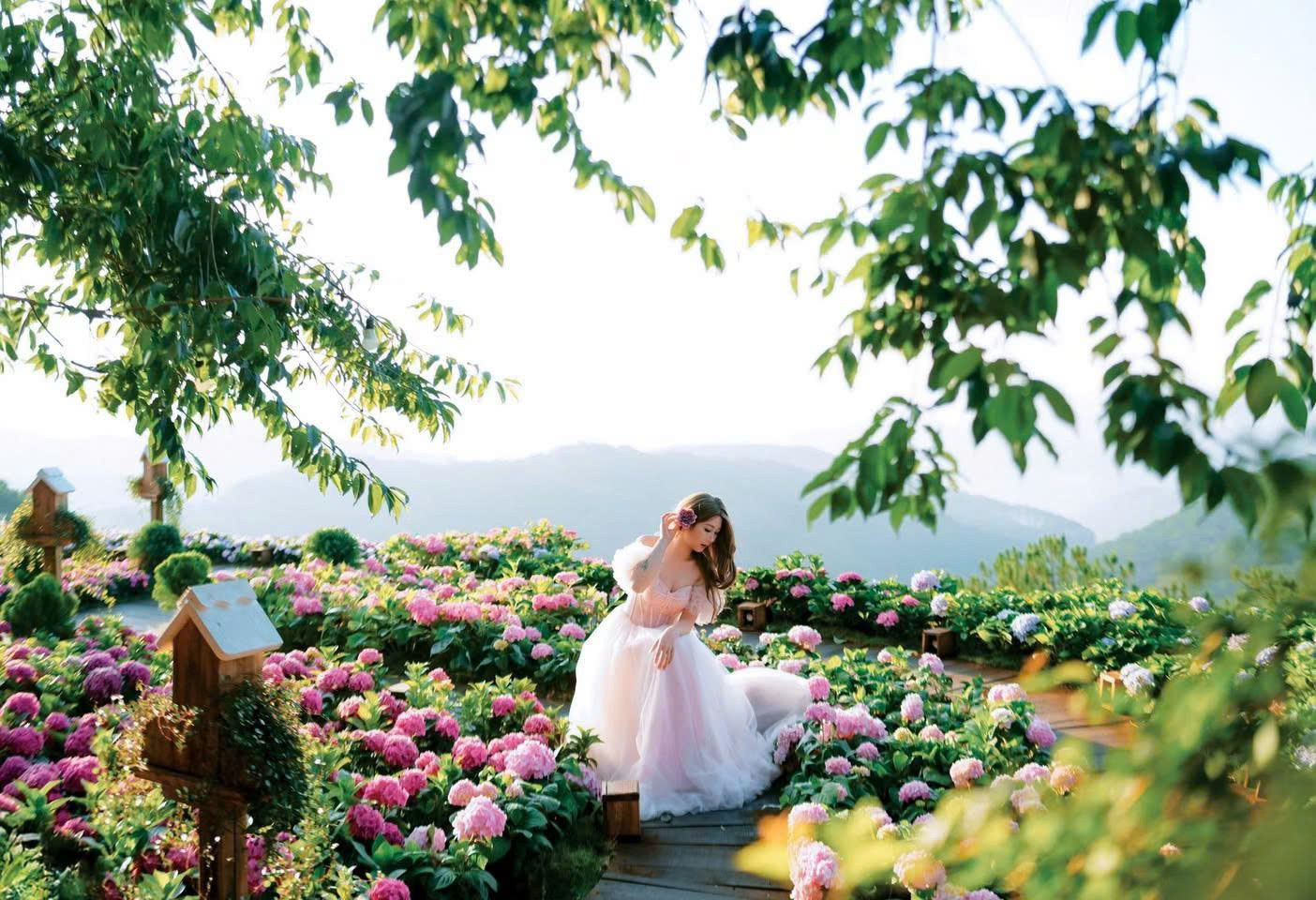 image001 (5) (1).jpg