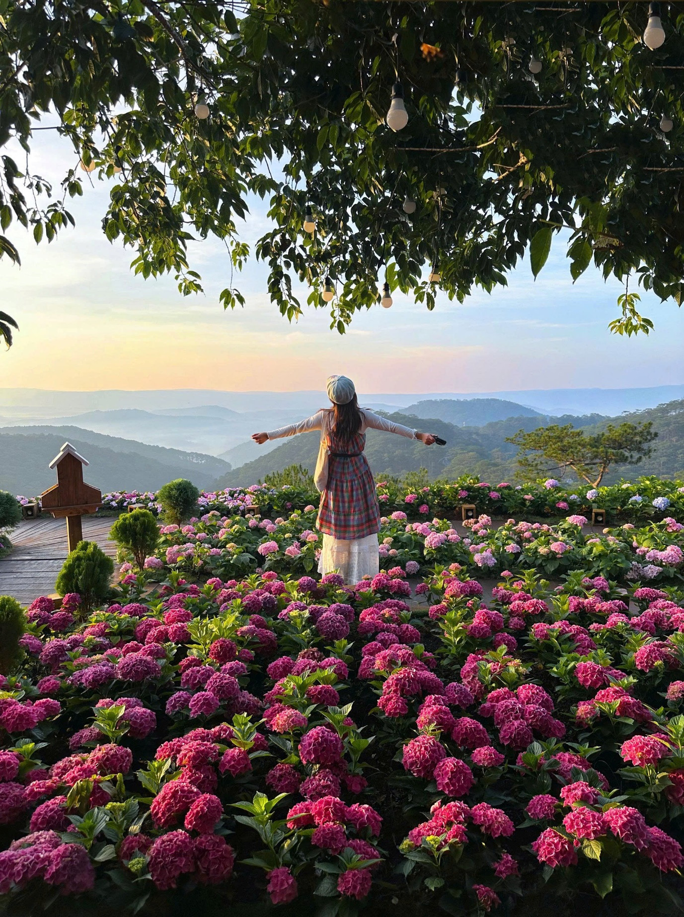 image003 (4) (1).jpg