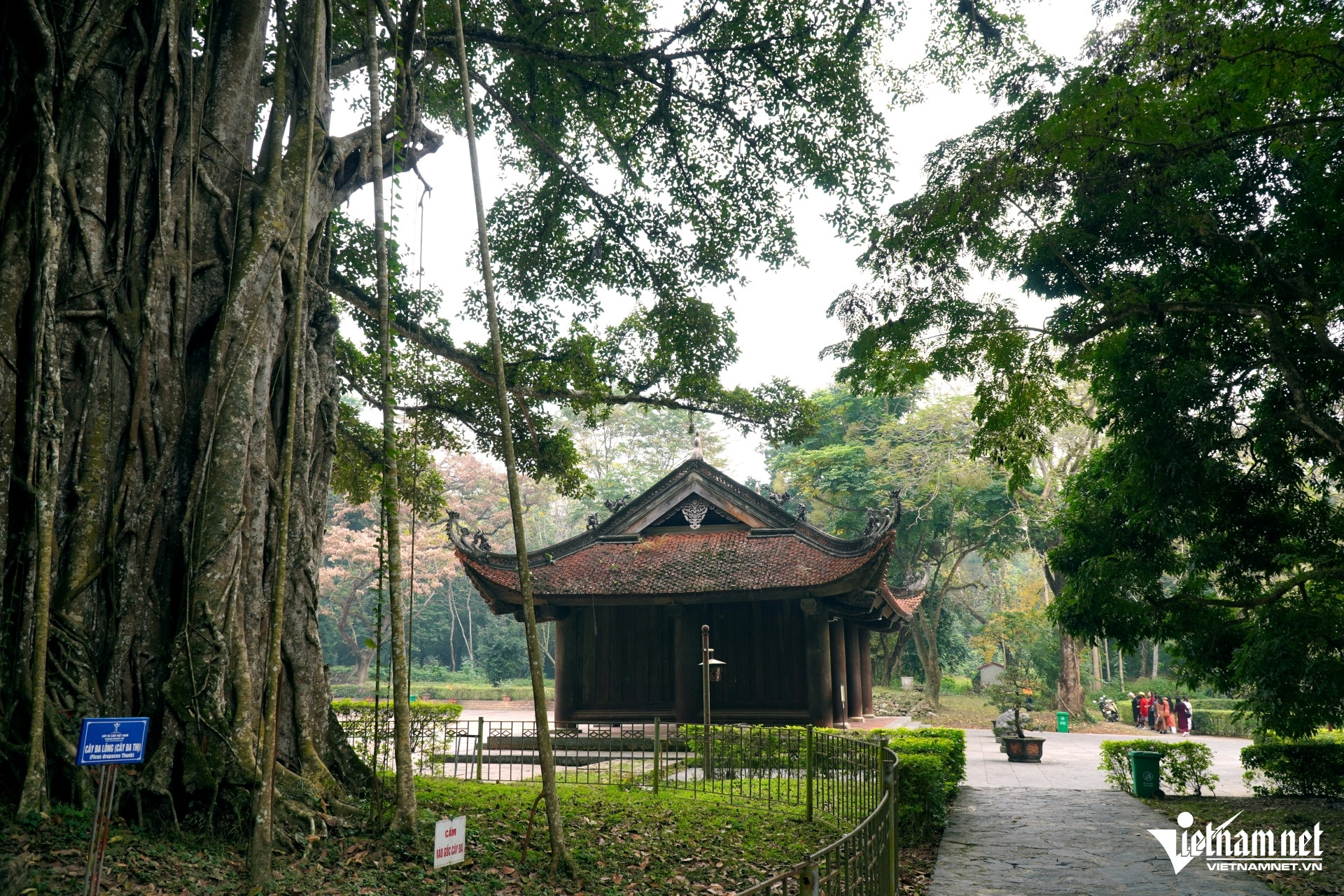 W-a2Chiêm ngưỡng chính điện dát vàng.JPG.jpg