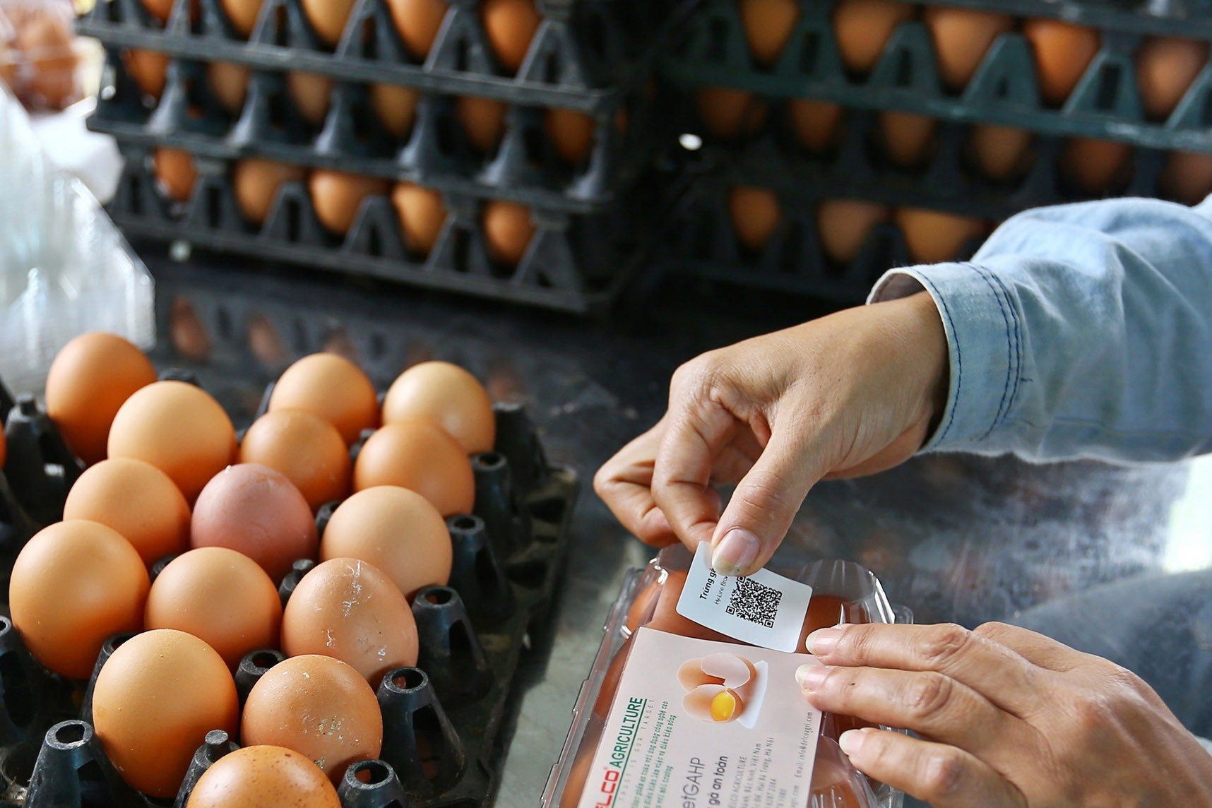 Bắt buộc công khai thông tin sản phẩm qua mã vạch để truy xuất nguồn gốc