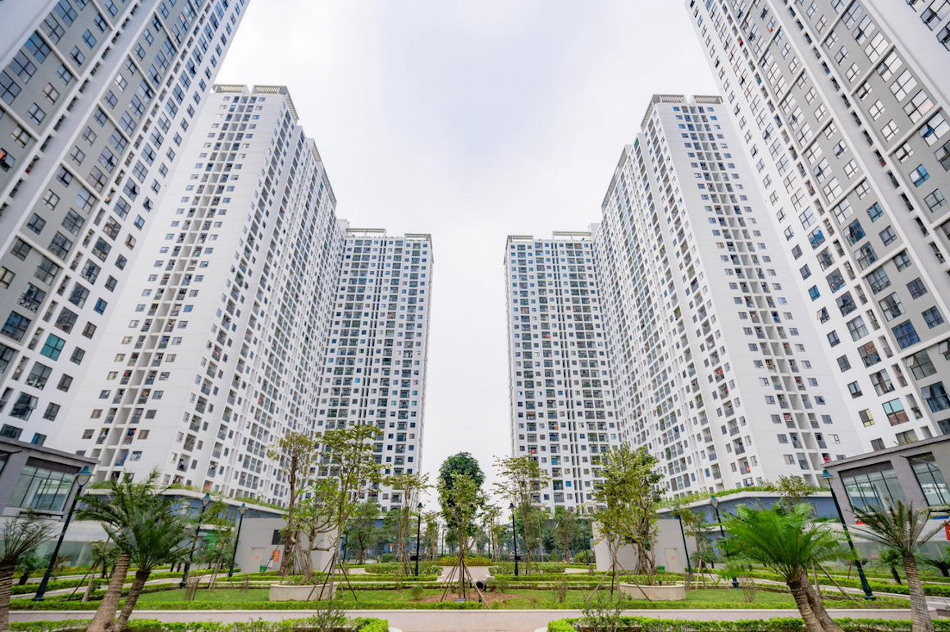 nha o xa hoi ecohome3 vietnamnet.jpg