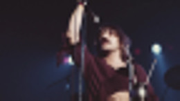 terry luttrell.webp