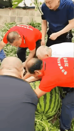 3eqadsfe.gif