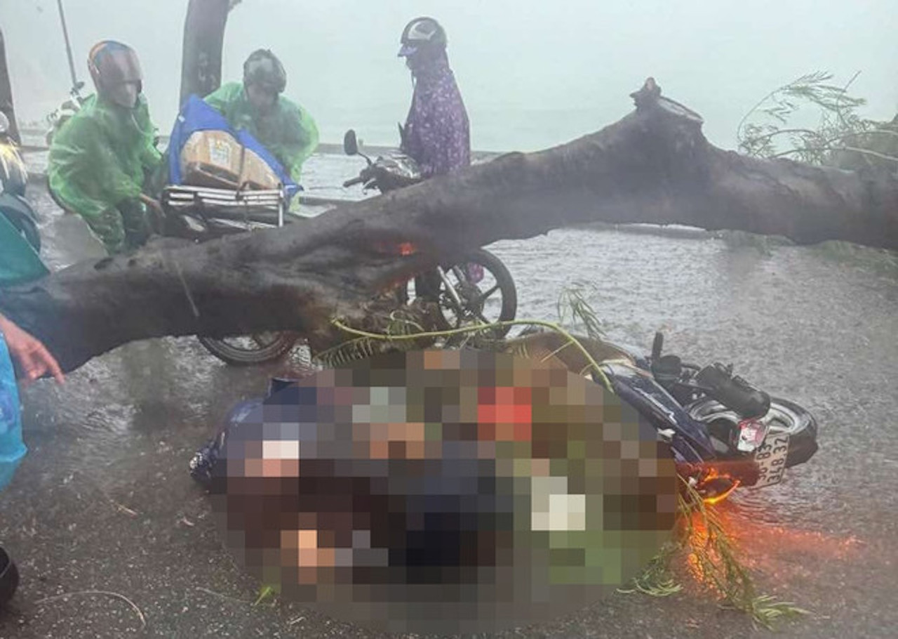 456553454 1073410997689534 8953290728724681219 n 207.jpg