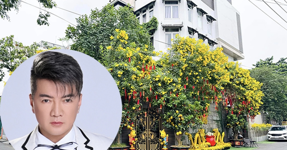 Đàm Vĩnh Hưng rao bán biệt thự triệu đô, tiết l...