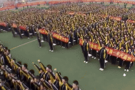 Thi đại học kiểu Trung Quốc: Kỷ luật quân đội, uống thuốc và truyền dịch