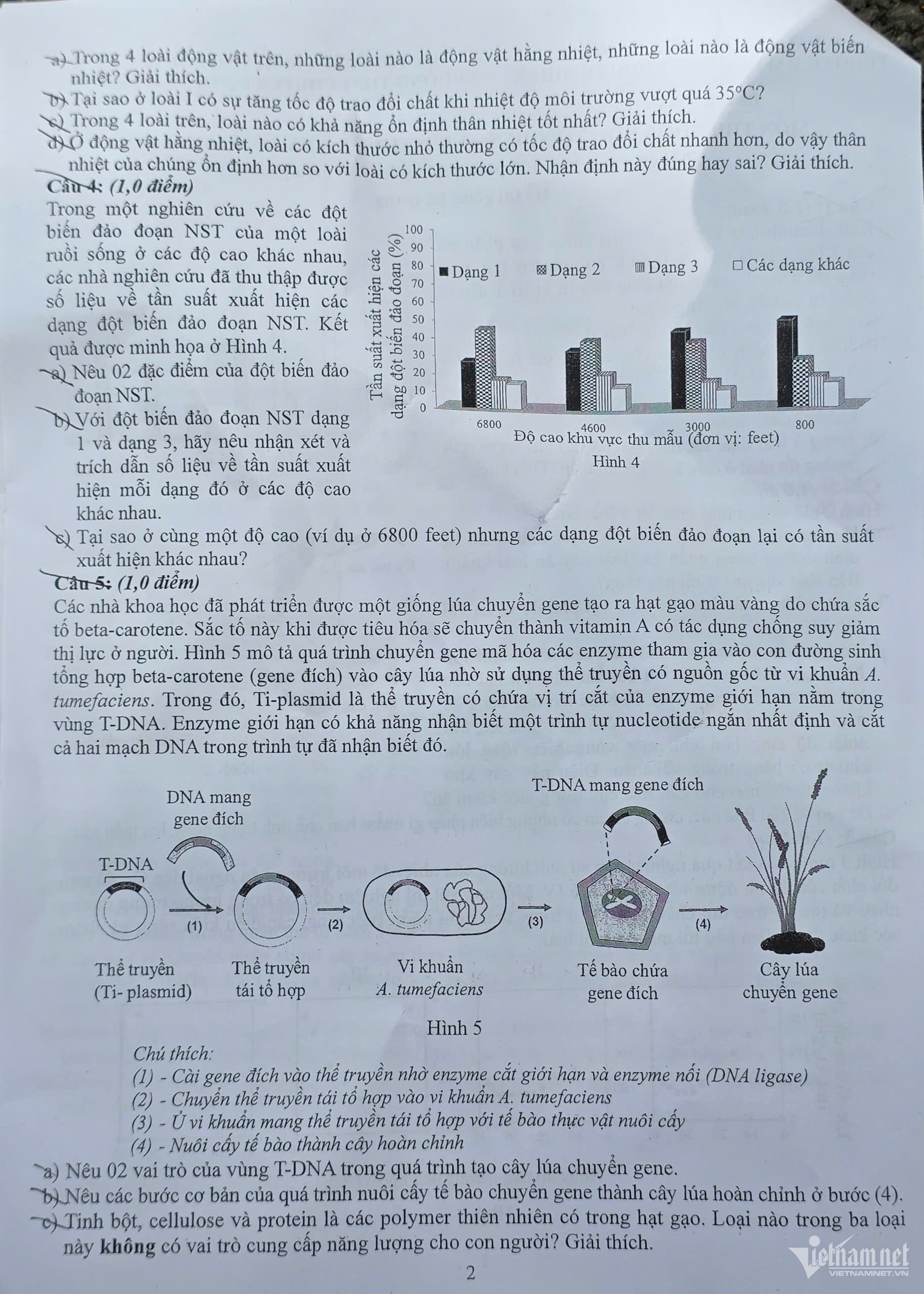 W-đề chuyên Sinh 2.jpg