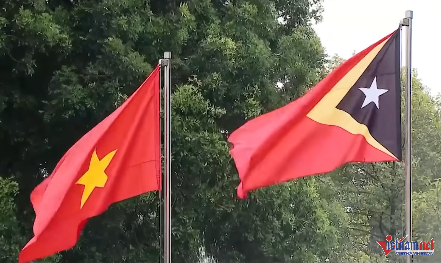 W-minhhoa.png