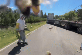 Xe tải lật, 250 triệu con ong 'tấn công' bang Washington