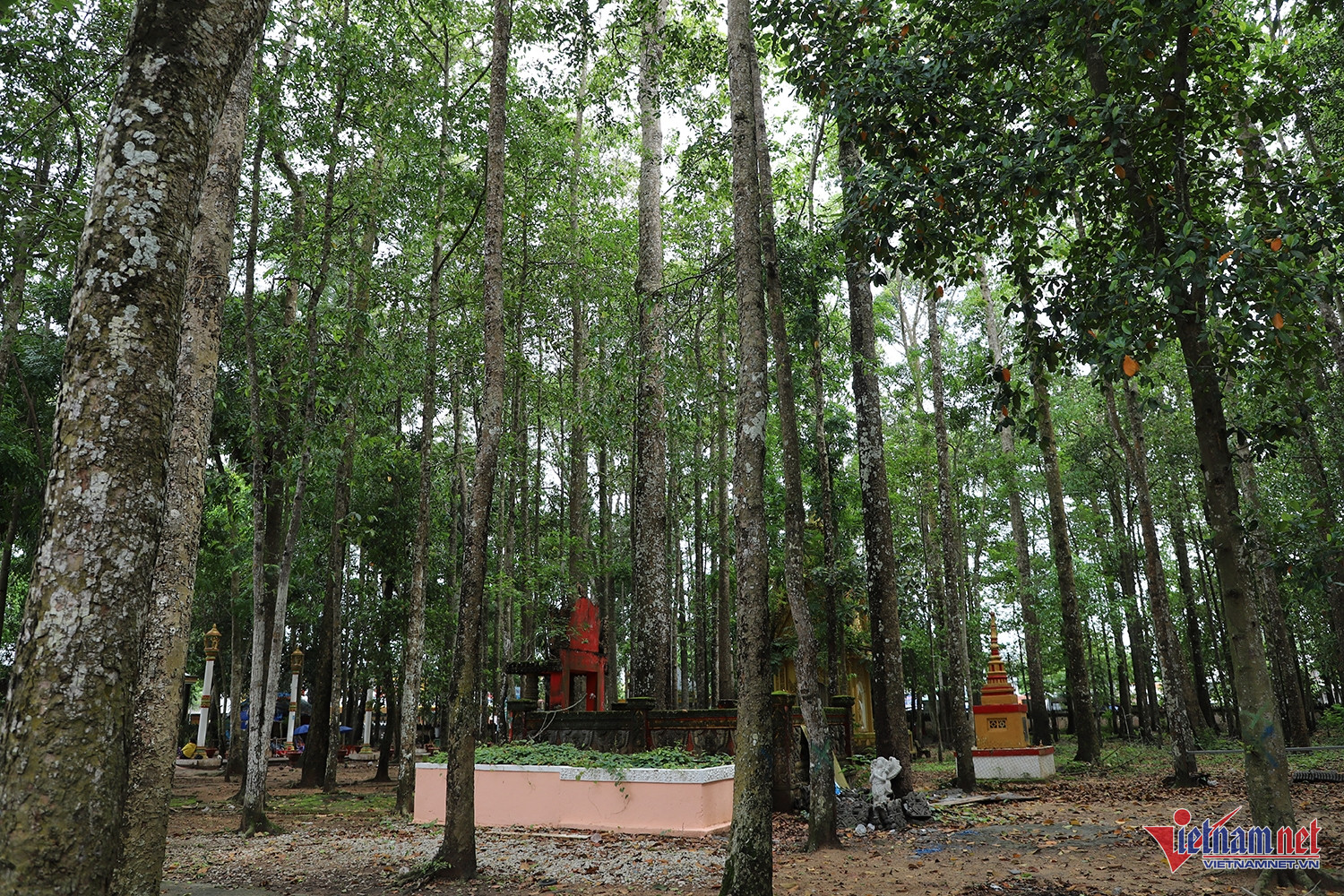 W-chùa dơi 7.JPG.jpg