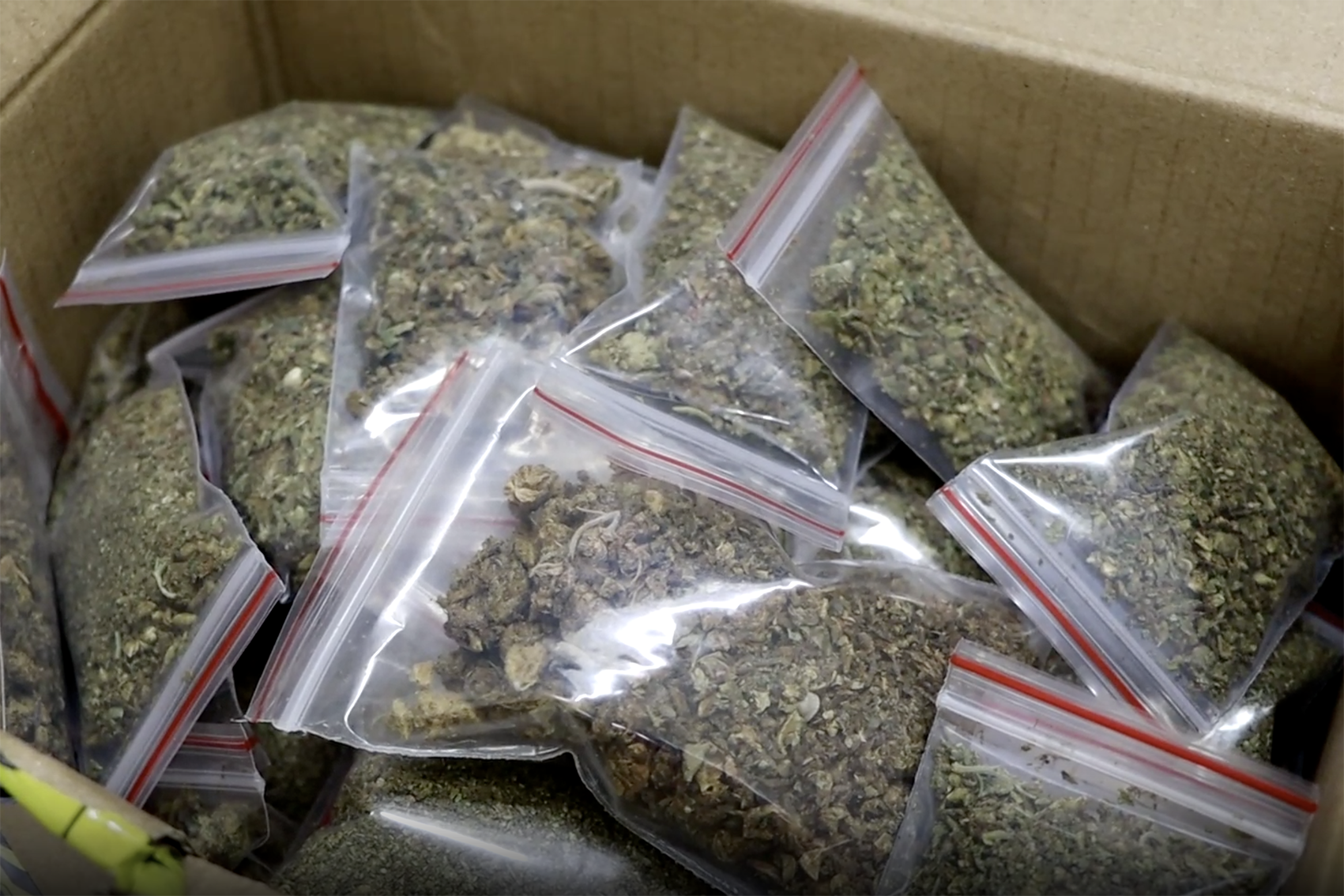 Công an Quảng Ninh triệt phá đường dây 600kg ma túy cần sa trên không gian mạng