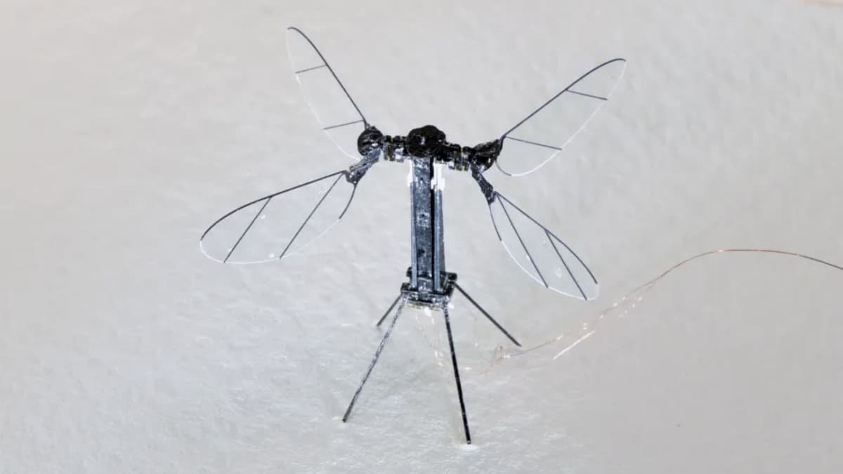 drone muoi.jpg