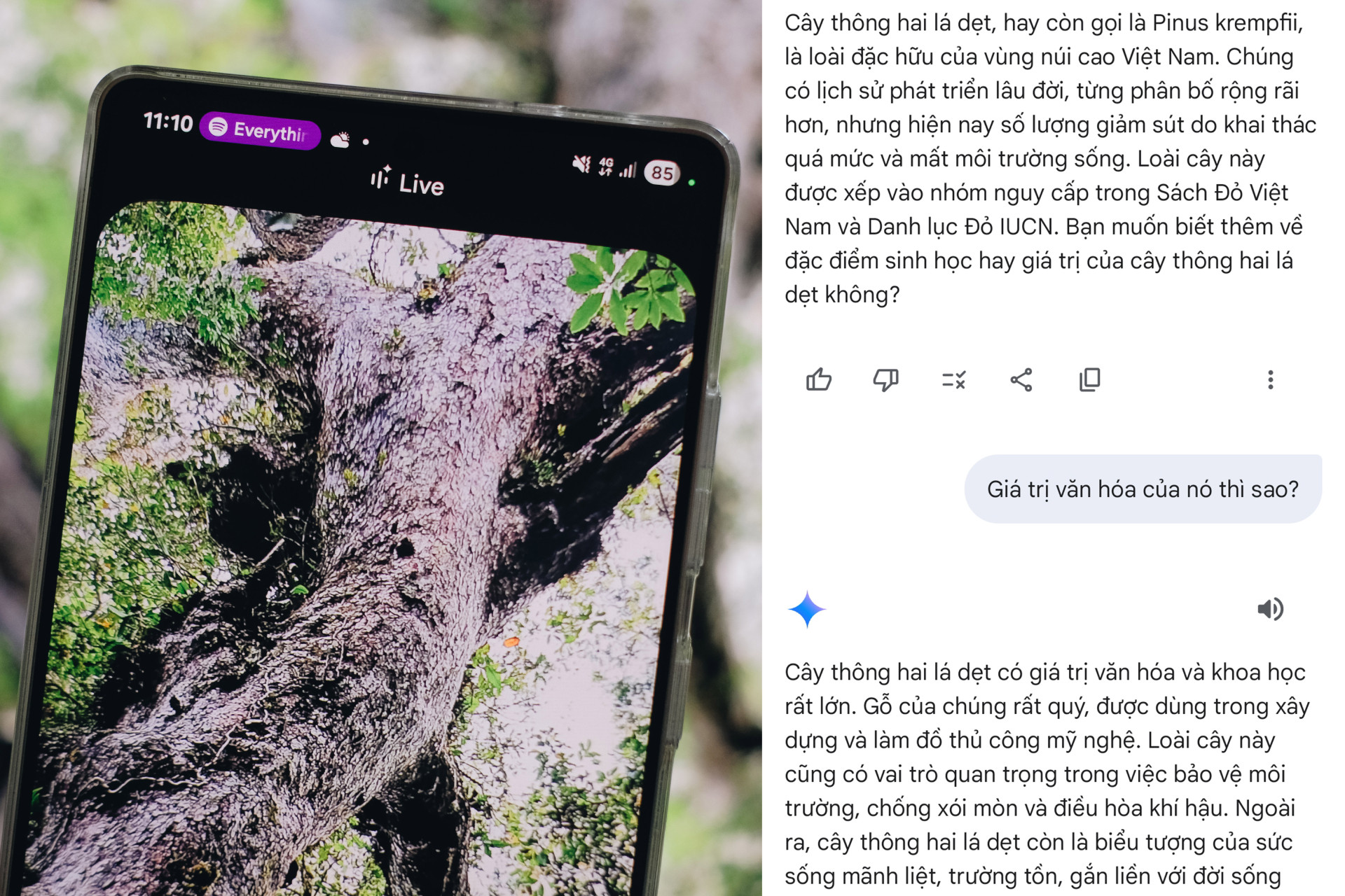 DSCF1005 copy(1).jpg