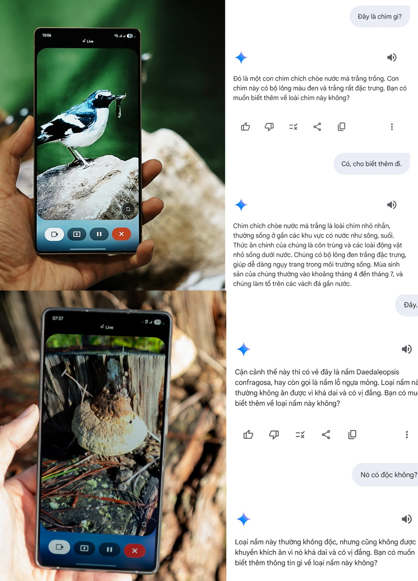 ipiccy_image (1)(1).jpg