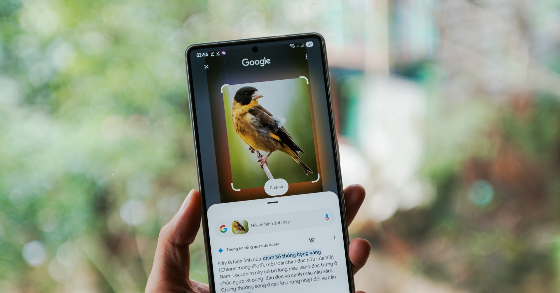 Trải nghiệm đi rừng thông minh cùng Galaxy S25 Series và Gemini Live