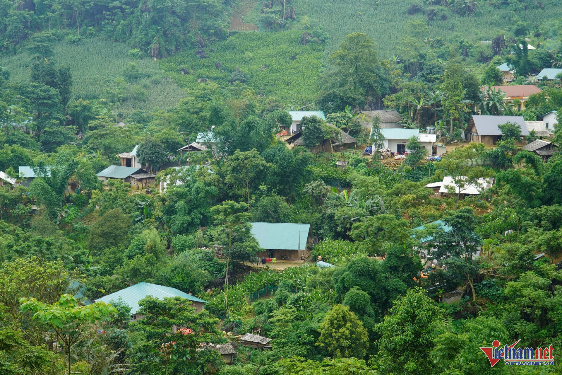 W-nha o nong thôn moi 01 1.jpg