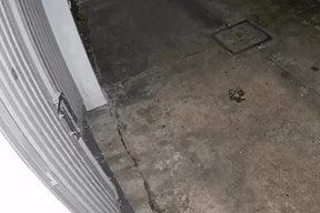 Xác minh clip kéo sập cửa nhà hàng xóm vì bị nhắc nhở hát karaoke gây ồn ào