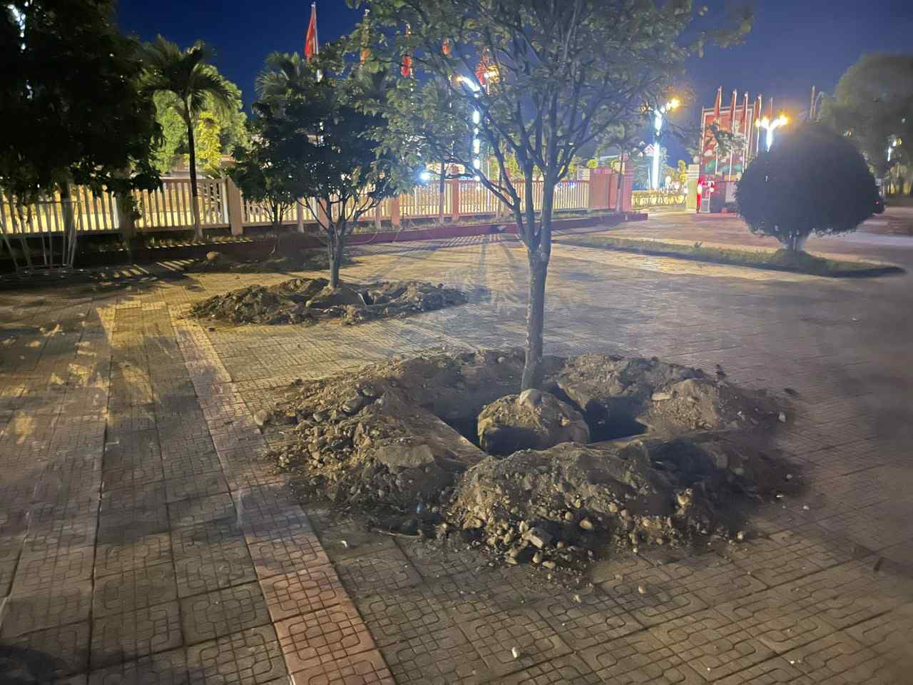 1dae3421 e71e 4c5f bd7c 49801a367e94.jpg