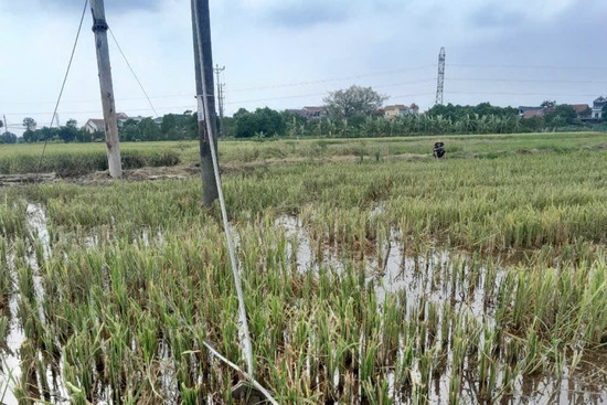 Bản tin cuối ngày 24/6:  2 công nhân tử vong khi đang sửa đường dây điện