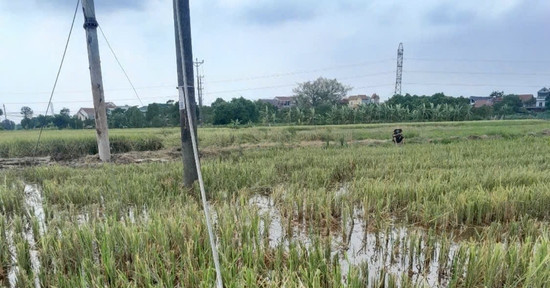 Bản tin cuối ngày 24/6: 2 công nhân tử vong khi đang sửa đường dây điện