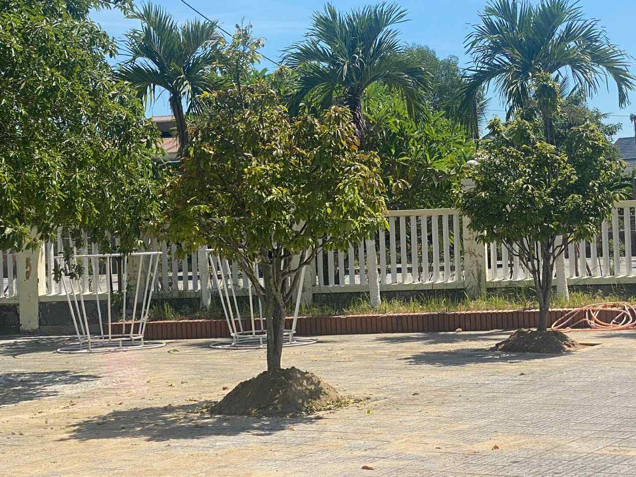 974d9f2c 8361 43d7 858a 5e398872983d.jpg