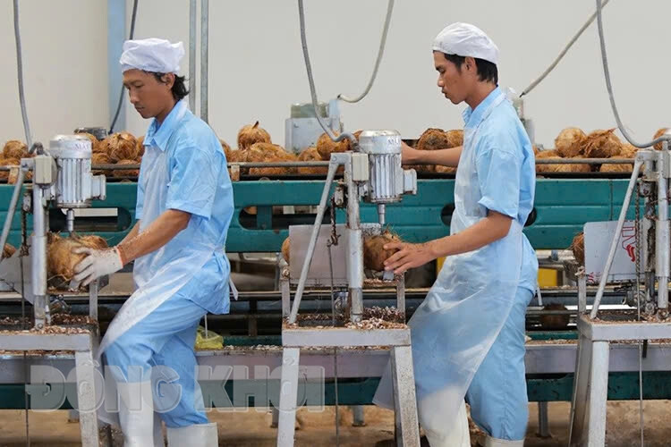Bến Tre - ‘xứ dừa’ vươn mình