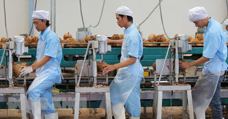 Bến Tre - ‘xứ dừa’ vươn mình