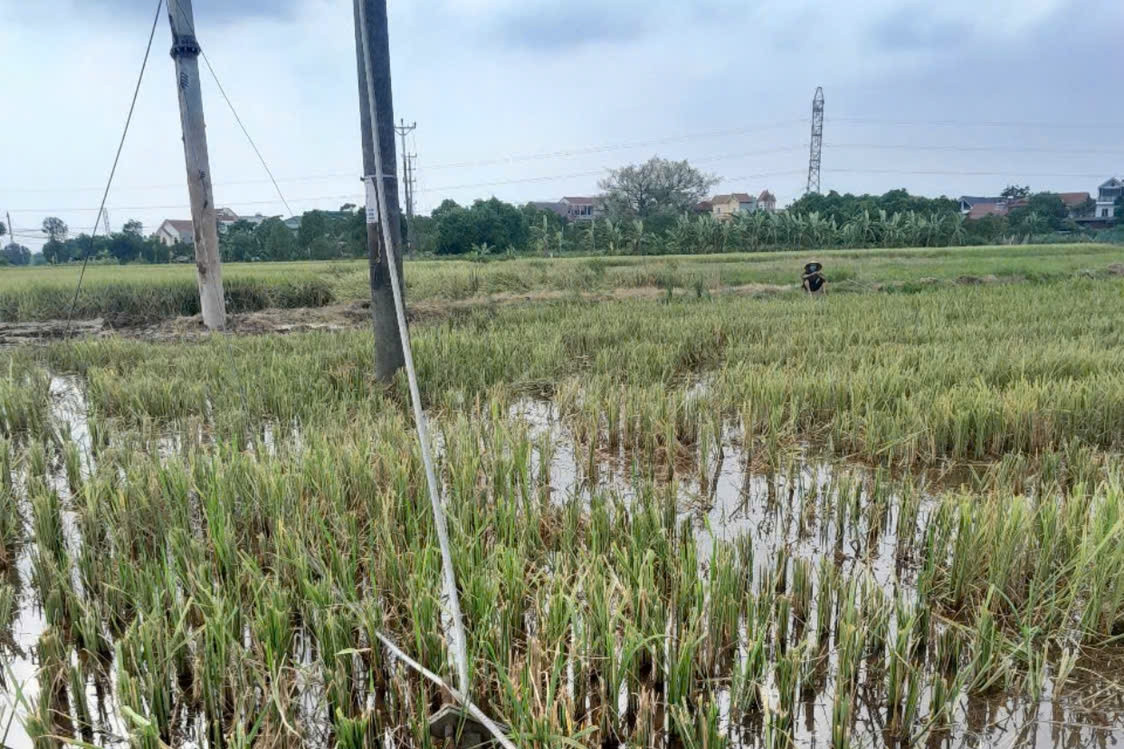 Hưng Yên: 2 công nhân tử vong khi đang sửa đường dây điện