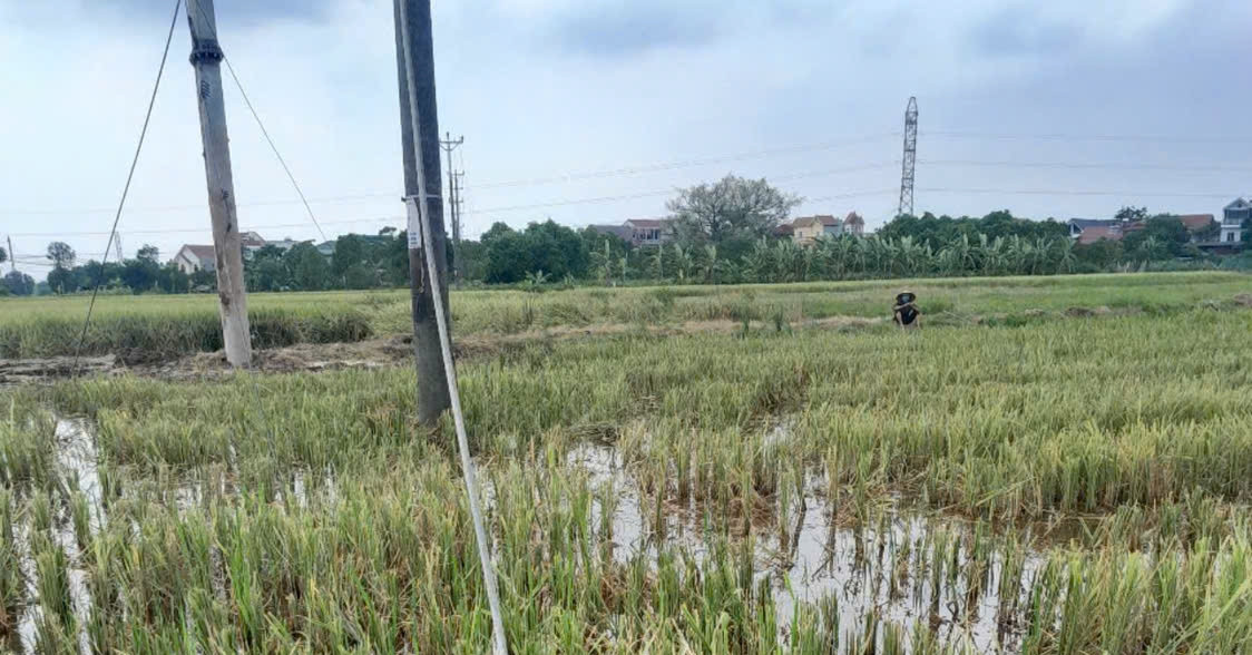 Hưng Yên: 2 công nhân tử vong khi đang sửa đường dây điện