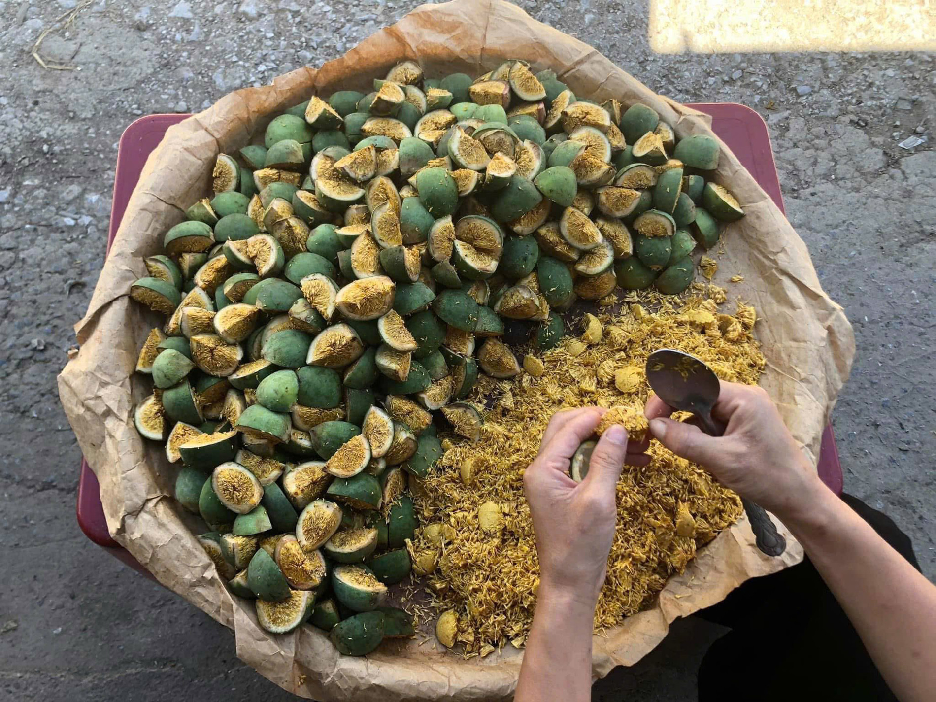 quả mác púp hoàng trinh.jpg