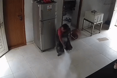 Thót tim khoảnh khắc người phụ nữ kéo bình gas rò rỉ ngay trước vụ nổ kinh hoàng