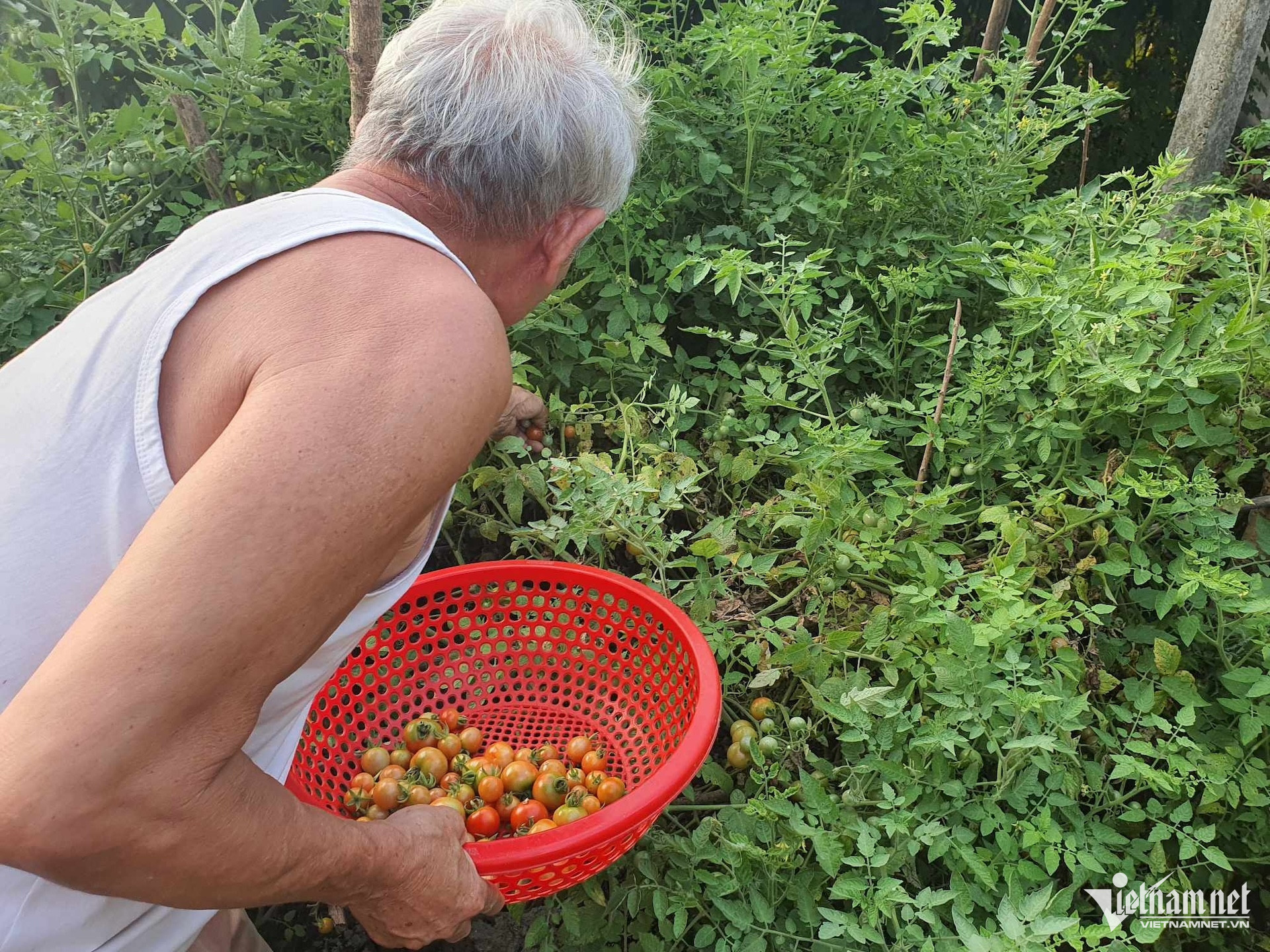 W-nguoi cao tuoi.jpeg