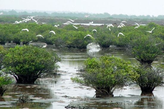 Các nước ASEAN tích cực bảo tồn di sản thiên nhiên chung