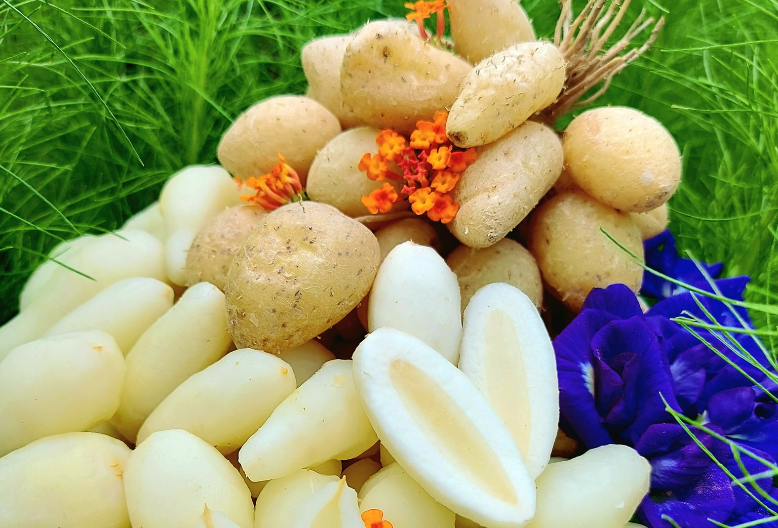 Đặc sản 'dưới lòng đất' ở Long An tên xấu nhưng ăn giòn, ngon